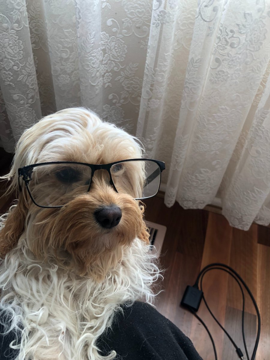 Lylah wearing black-framed glasses, in front of a lace curtain