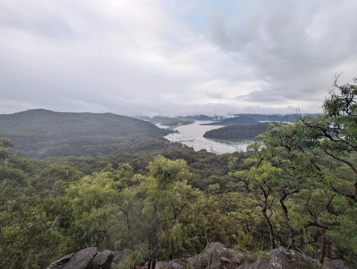 View from a ridge over forest to a river inlet with moored boats, under low cloud
