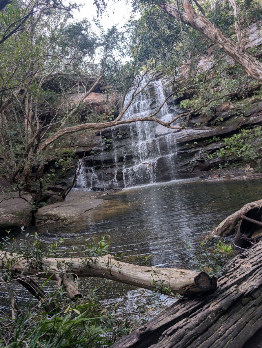 Waterfall running down tiered rock into a pool, framed by trees and a fallen log