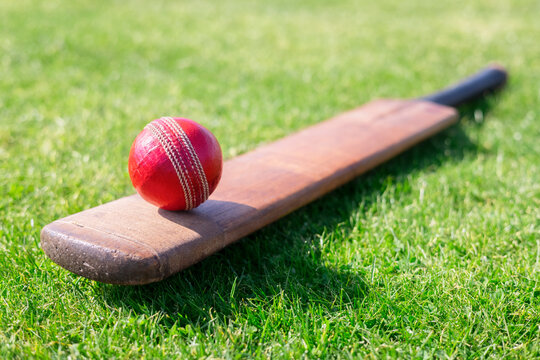 Cricket bat lying on grass with a red cricket ball resting on it